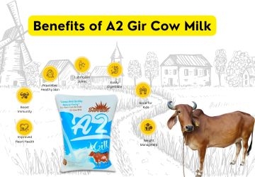 Real Or Powder Milk